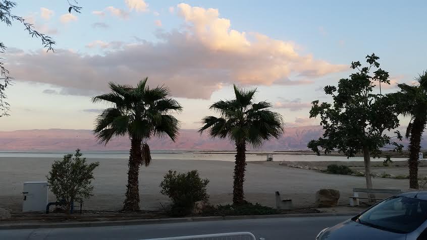 Rose Dead Sea Neve Zohar Hotel Room photo