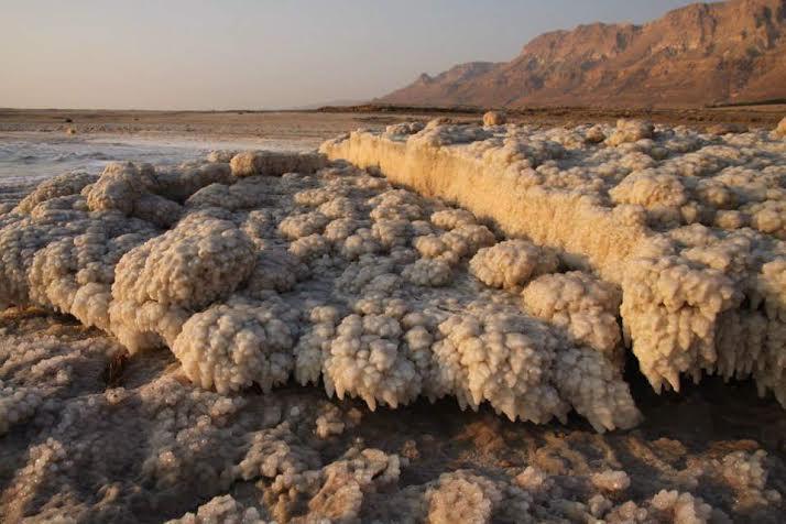 Rose Dead Sea Neve Zohar Hotel Room photo