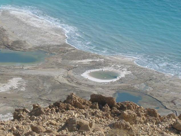 Rose Dead Sea Neve Zohar Hotel Room photo