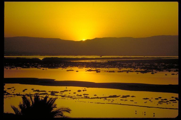 Rose Dead Sea Neve Zohar Hotel Room photo