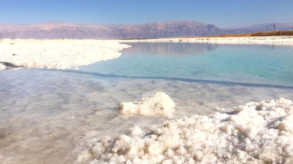 Rose Dead Sea Neve Zohar Hotel Exterior photo